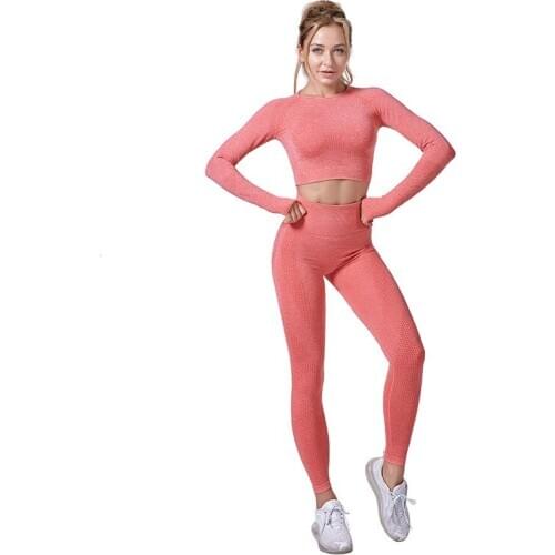 Women Seamless Yoga Clothes Set Short sleeve Fitness Sports Suits Long Sleeve Top High Waist Leggings Sports Suits Hot New