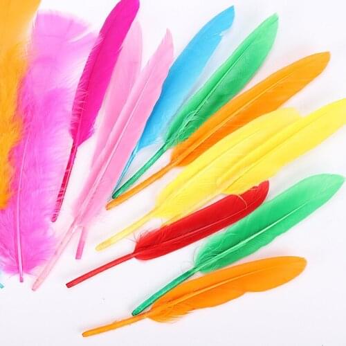 20pcs Natural Goose Feathers 4-6 "/10-16cm Mix Color Floating Colourful Swan Feather Plume for DIY Craft Wedding Home Decoration