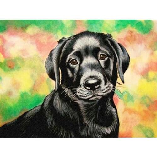 Full Square Diamond Painting Dog 5D DIY Animal Diamond Embroidery Cross Stitch Kit Handmade Gift Home Decoration