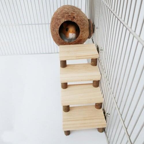 Hamster wooden molar toy Golden silk bear honey bag flying guinea pig squirrel staircase coconut shell nest combination