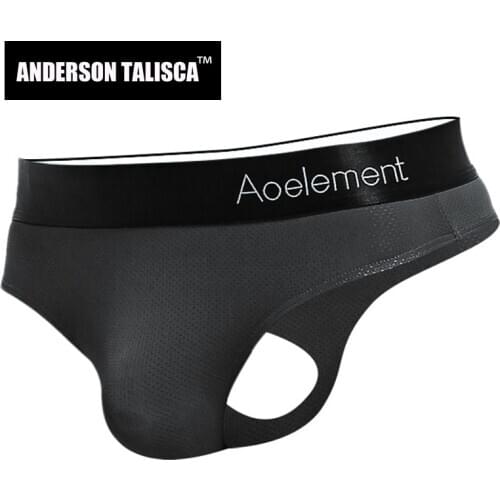 ANDERSON TALISCA Brand New Mens Briefs Underwear Men Brief Silk Mesh Ropa Interior Hombre Man Cueca Masculina Size L-3XL 215KM
