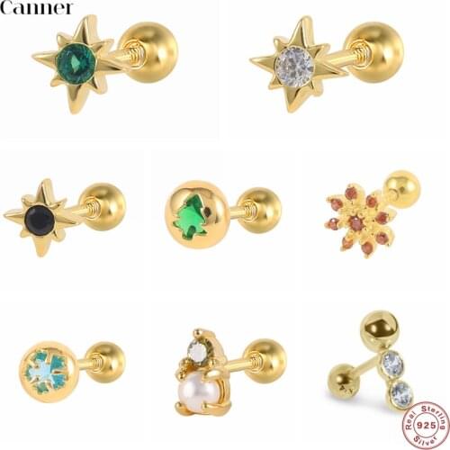 Canner 1pcs Pendientes Plata 925 Earrings For Women Stud Earings Geometric CZ Earings Helix Cartilage Piercing Aretes Jewelry W5