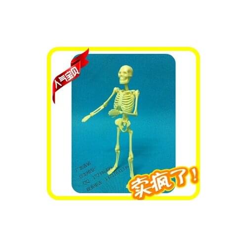 Mini human skeleton educational model 20cm bulimic mannequin , educational toys model skeleton model
