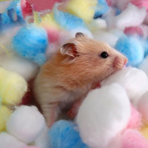 Useful Creative Colorful Winter Keep Warm Cotton Ball Cute Cage House Filler Supply For Hamster Rat Mouse Small Animals Supplies