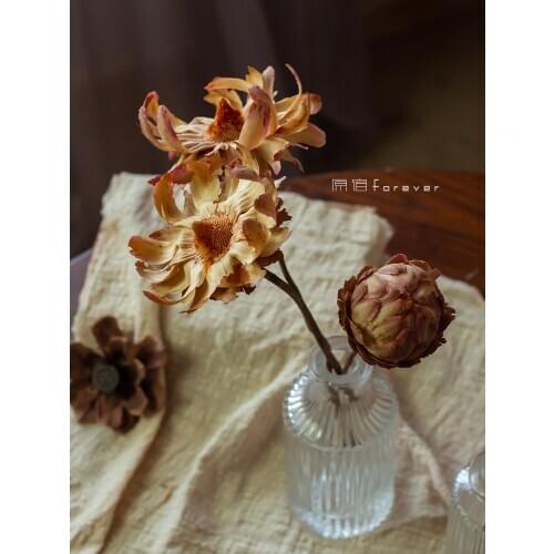 1pcs South Africa Imported Natural Phoenix Flower Ball Dried Flower Homestay Home Soft Decoration Matching Furnishings