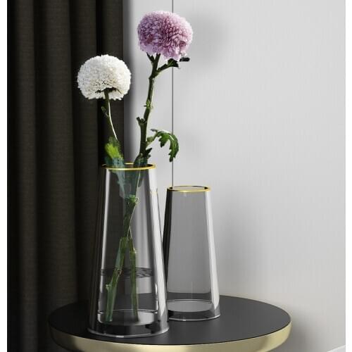 Luxury Vase Decoration Nordic Transparent Glass Vase Living Room Creative Home Decor Outline In Gold Flower Arrangement Vase