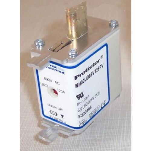 Fuses: NH00UD69V315PV W320179 / NH00GS69V125PV E322165 aR