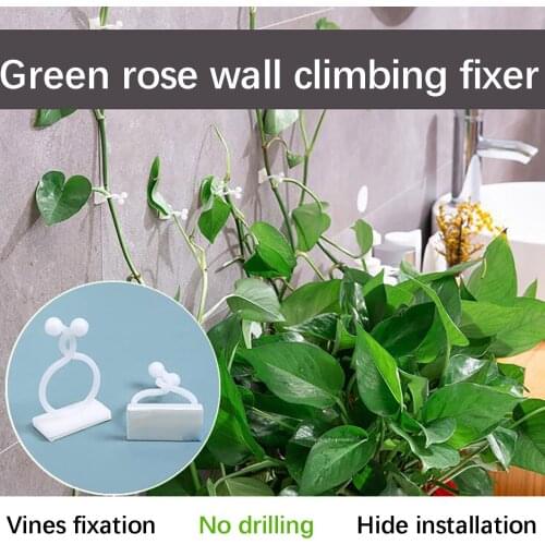 100Pcs Self-Adhesive Plant Climbing Wall Fixture Clips Home Vine Hanging Holder Hook Decoration for Home Garden Wall Sticky Hook