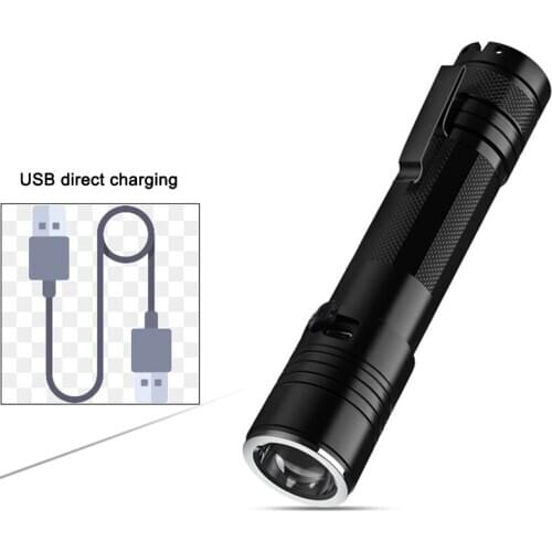 UV Torch 365nm Portable Rechargeable for Pet Urine Detector with Aluminium Housing Charger Battery Included _WK