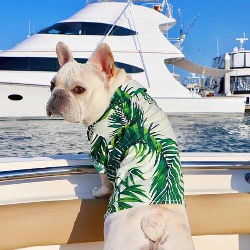 Designer Dog Clothes for Small Medium Dogs Summer T-Shirt Clothes for Chihuahua French Bulldog Pomeranian Pet Dog Accessories