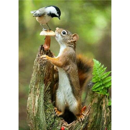 5D DIY diamond painting animal squirrel and bird full diamond round diamond mosaic diamond embroidery landscape beaded picture
