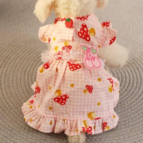 Dog Clothes Pet Dog Clothes Pet Dog Skirt Poncho Skirt Teddy Bichon Spring And Summer Thin Doll Skirt Strawberry Skirt