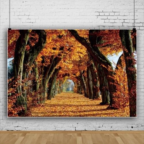 Autumn Outdoor Maple Forest Scenery Background for Photography Portrait Photographic Backdrops Photocall Photo Studio