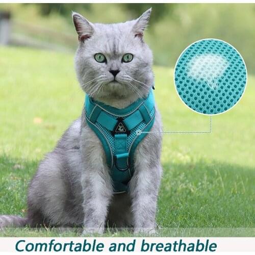 Pet Dog Leash Harness Set Breathable Reflective Cat Collar Walk The Dog Comfortable Puppy Harness Dog Pets Acessorios