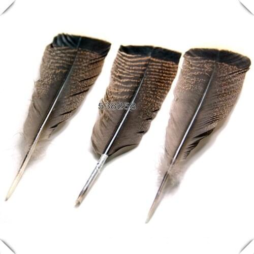Turkey feather 10-12 inch 25-30 cm 30pcs/lot goose turkey feather plumes eagle feather