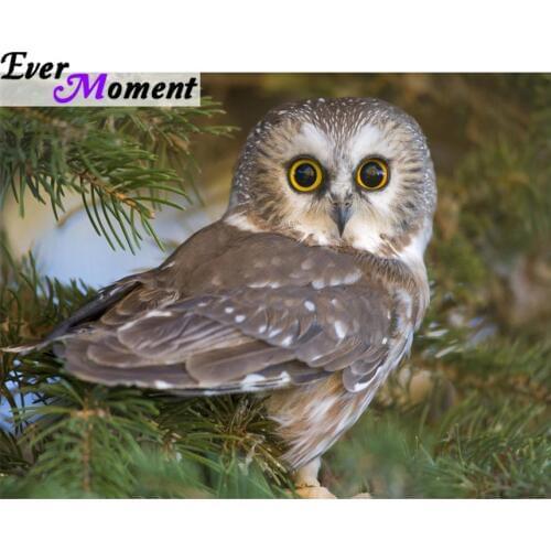 Ever Moment 5D Diamond Painting Owl Square Rhinestones Full Layout Animal Diamond Embroidery Mosaic Kit Needlework Decor ASF727