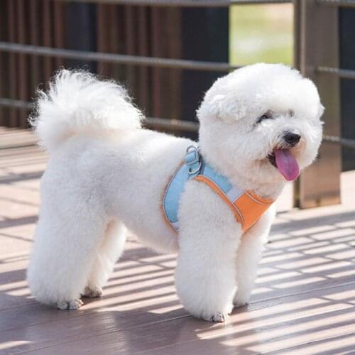 Pet Leash Chest Harness Set Reflective Breathable Dog Vest Sport Collars For Medium Dog Pet Training Walking Pet Products