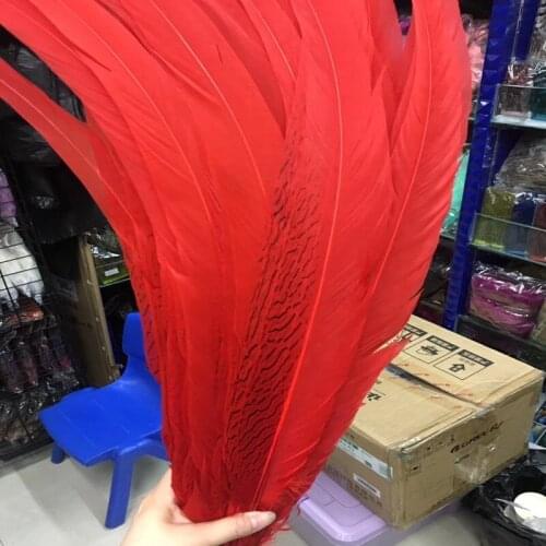 Beautiful red tail feathers 40-80 cm / 16-32 inches lady Amherst silver chicken feather feather stage performance decoration