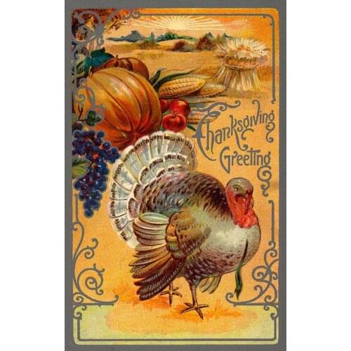 JMINE Div 5D Thanksgiving Turkey Pumpkin Chicken Full Diamond Painting cross stitch kits art Animal 3D paint by diamonds