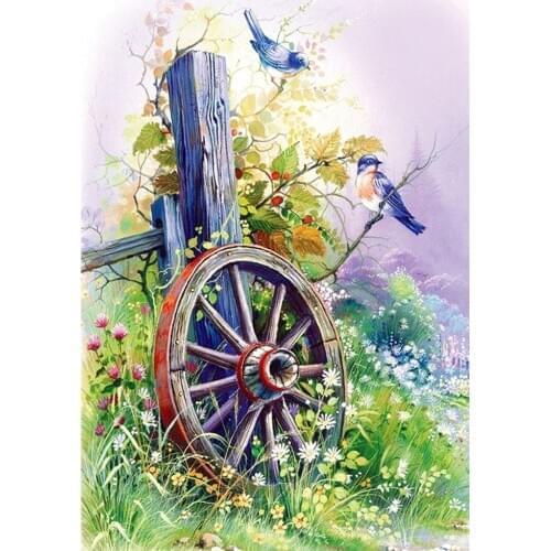 Adult 5D Diamond Painting Bird Wheel Full Diamond Embroidery Set DIY Home Decoration 30*40