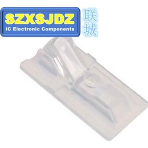 Carol Lian LED Chips