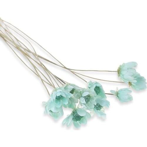 12 pcs/pack Crystal Epoxy Mould UV Glue Mini Daisy Dried Flower Bracelet Ring Filler Nail Art Manual DIY Making Mobile Shell Cra