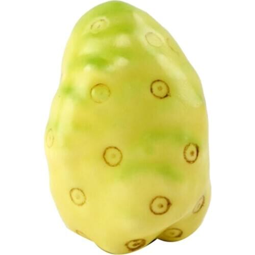 1pc Lifelike Simulation Fruit Creative Decorative Simulated Noni Fake Fruit Photography Prop Home Decor