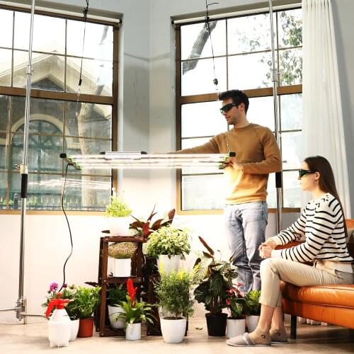 LM281b+ Diodes Quiet Fanless Full Spectrum 640W LED Grow Light High PPFD for 4x4 5x5 FT Tent Seedling Veg and Blooming