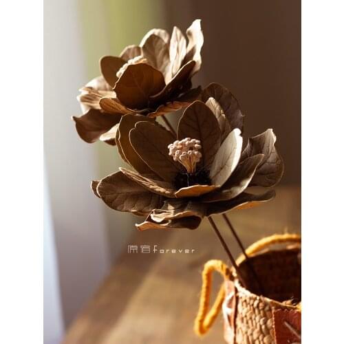 1pcs Autumn Leaves Dried Flowers Retro B & B Decoration DIY Handmade Creative Art Dried Flowers Living Room Desktop Furnishings
