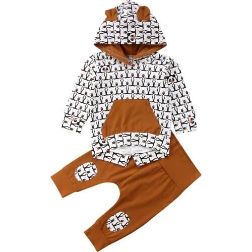 2020 New Autumn Winter Toddler Baby Girl Boy Clothes Sets 2PCS Long Sleeve Hooded Cartoon Bears Print Sweatshirt Tops+Pant