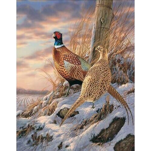Full 5d DIY Diamond Painting Wild pheasant Cross Stitch Diamond Embroidery bird Patterns rhinestones Mosaic home decor gift