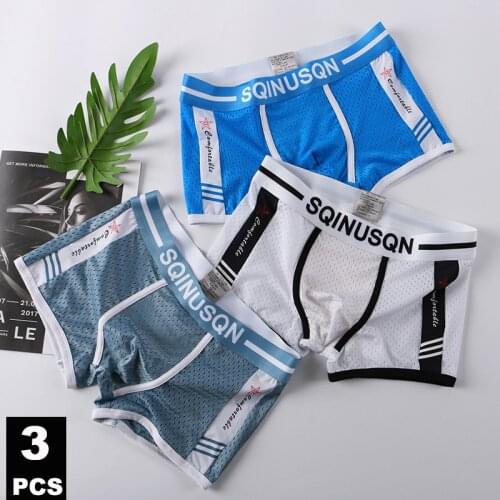 3Pcs Men Underwear Boxer Men Breathable Mesh Mens Boxers Male Underpants Sexy Panties Cotton Mens Bodysuit Trunks Pant