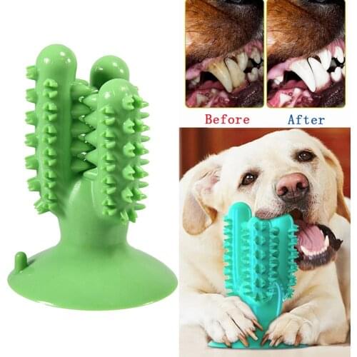 NEW Dog Toothbrush Toys for Dogs Interactive Toy Training IQ Teeth Cleaning Durable Small Medium Large Dog Toothbrush