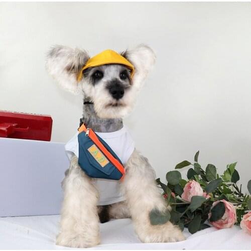 New Pet Dog Cat AD Messenger Bag for Going Out Portable Backpack New Trend Fashionable Small Dog Cat Sports Style Backpack