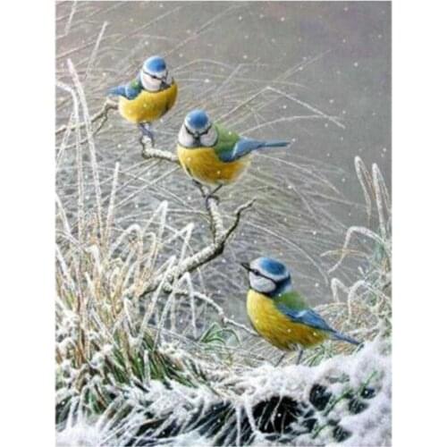 Diamond Painting Landscape Snow Scenic Birds Full Square/Round Mosaic 5D Embroidery Picture Cross Stitch Home Decor Gift XN1407