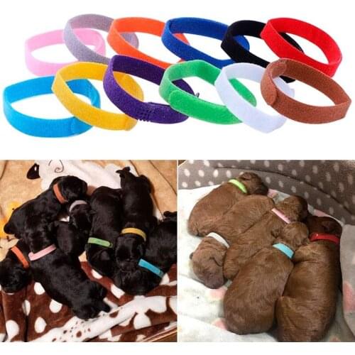 12Pcs/set Puppy Whelping Identify Collars Multicolor Adjustable Nylon Small Pet Dog Collars Kitten Necklace Puppy Collars