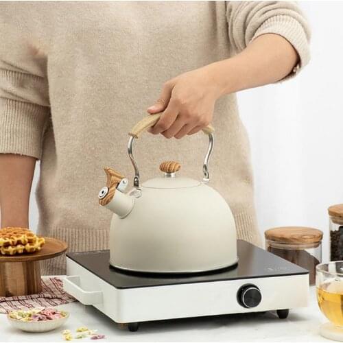 Заварочные чайники JosheLive China At AliExpress