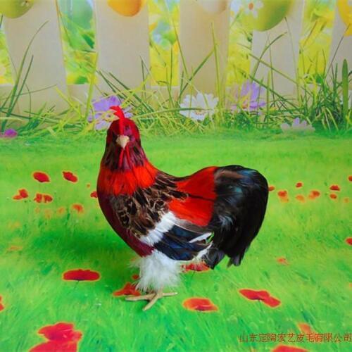 New simulation cock toy polyethylene & furs small red cock model doll gift about 20x12x24cm 293