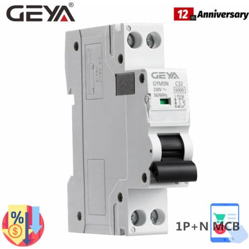 DPN MCB 1P+N 6A 10A 16A 20A 25A 32A 40A 220V AC Mini Circuit Breaker 6KA