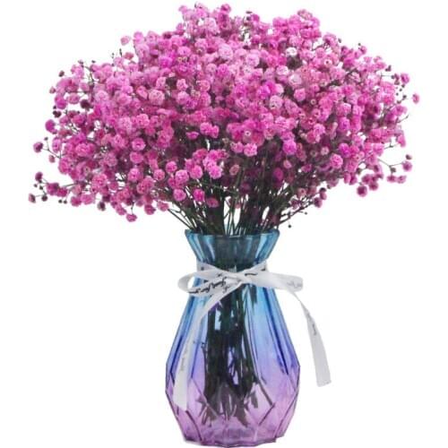 Gypsophila Retail Lover Grass Limonium Plantas Naturales Dried Preserved Flower Eternelle Wedding Cristmass New Year Home Decor