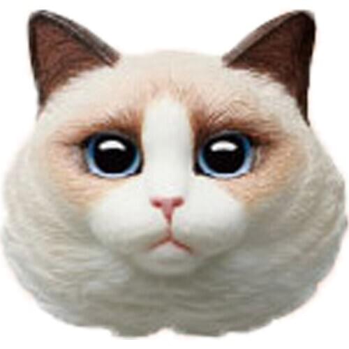 Tide play gift authentic IATOYS three-dimensional cat Jian series refrigerator magnet blind box cute sticker