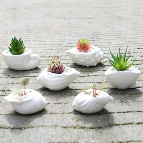6 Pieces of Creative Mini Fleshy Flower Pot White Shell Conch Ocean Succulent Flower Pot Ceramic Table Decoration Decoration