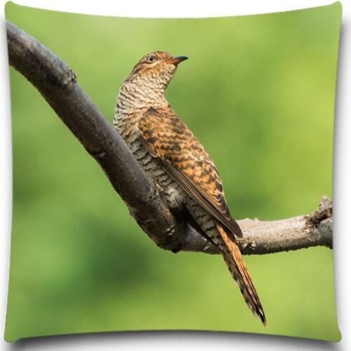 A bird on the branch is singing 2D print creative Pillow case Square cotton polyester cushion cover 5 size 9 style