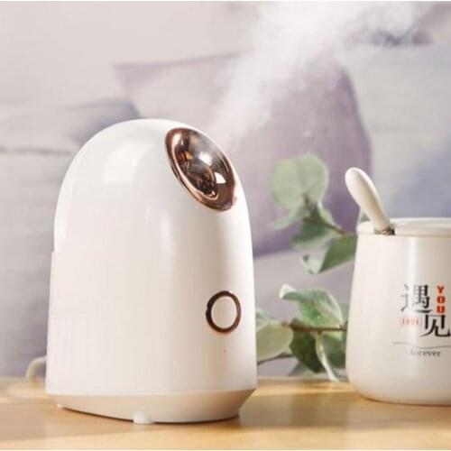Face Steamer Nano Ionic Facial Spa Moisturizing Cleansing Pores Blackheads Acne Maquina de Facial Skin Care Dropshipping 30