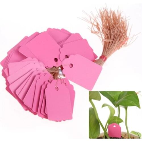 100PCS Hang Tag Labels Seedling Garden Flower Pot Plastic Tags Number Plate Hanging Reusable PVC Garden Tools with Rope Ties