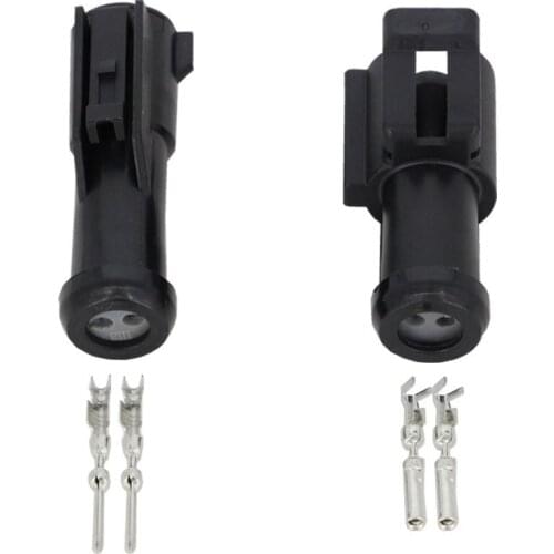 2 pin Automotive Connector Connector with Terminals DJ70210-1.5-11/21 2P