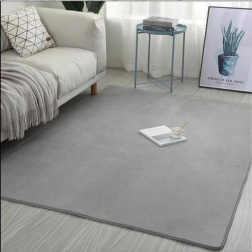 Modern Home Decoration Coral Velvet Carpet Living Room Bedroom Bedside Carpet Balcony Childrens Play Mat Solid Color Rugs Gray