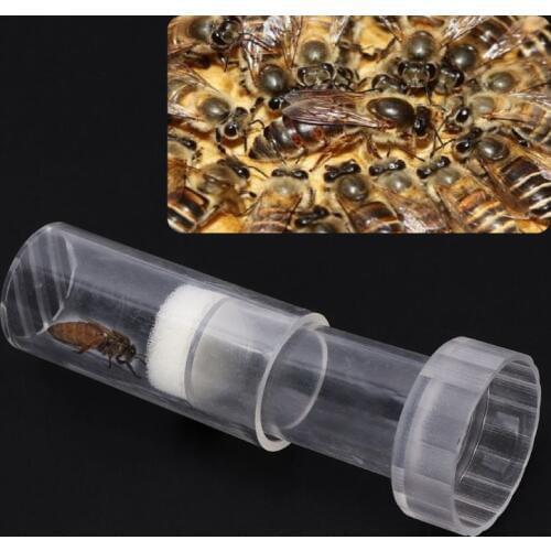 Bee Queen Marking Bottle Marker Beekeeping Equipment Beekeeper Tools Bees Apiculture Plastic Bottles Beekeeping Supplies C42