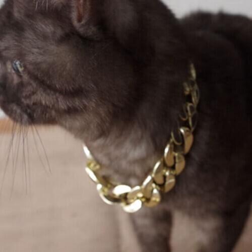 Fashion Dog Pet Collar Thick Chain Necklace Gold-Plated Plastic Puppy Collar Jewelry Accessories Pendant Gold Chain