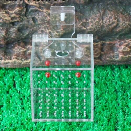 Acrylic Fish Tank Aquarium Guppy Baby Small Fish Separator Fishes Breeding Box